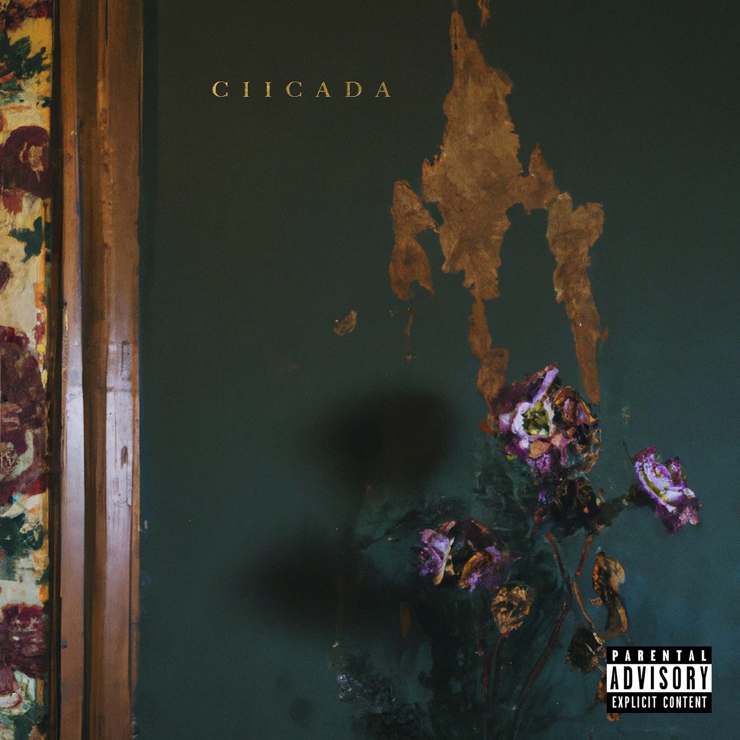 MIKE SUMMERS - CIICADA (album) Exclusive Limited Edition Cassettes